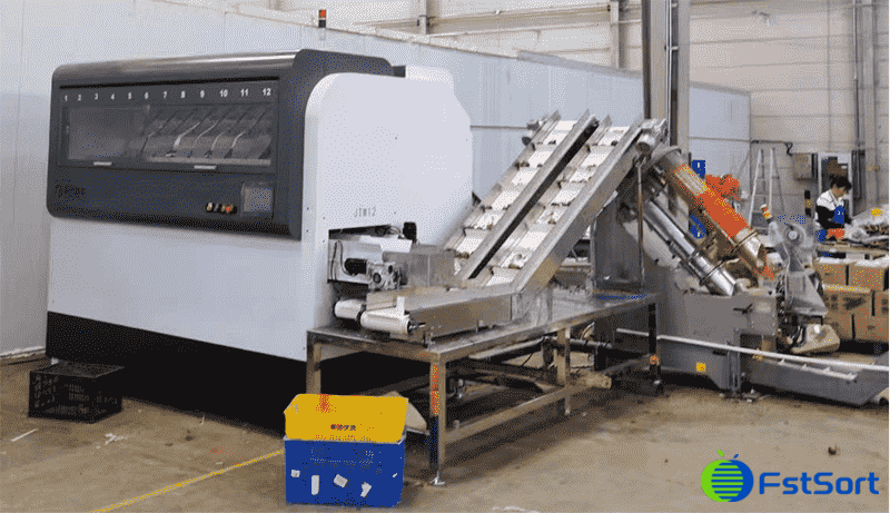 images/1745999654729Máquina de embalaje en red Fstsort.png